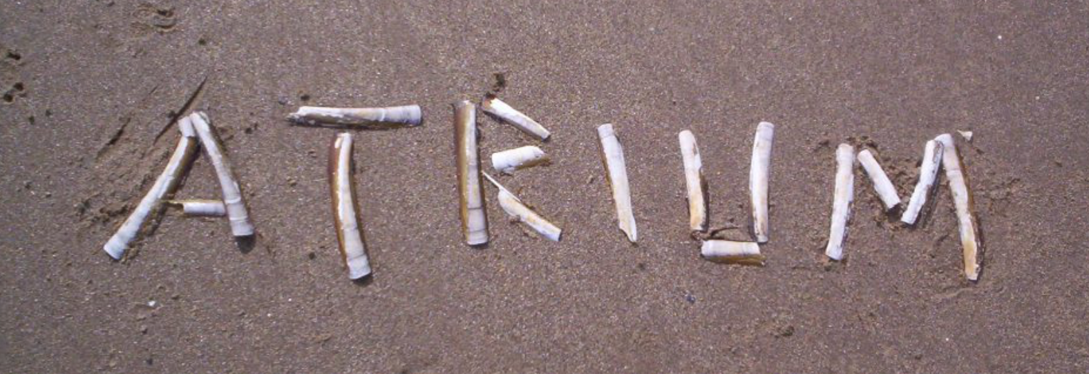 Screen Shot 2018-03-13 at 11.24.00