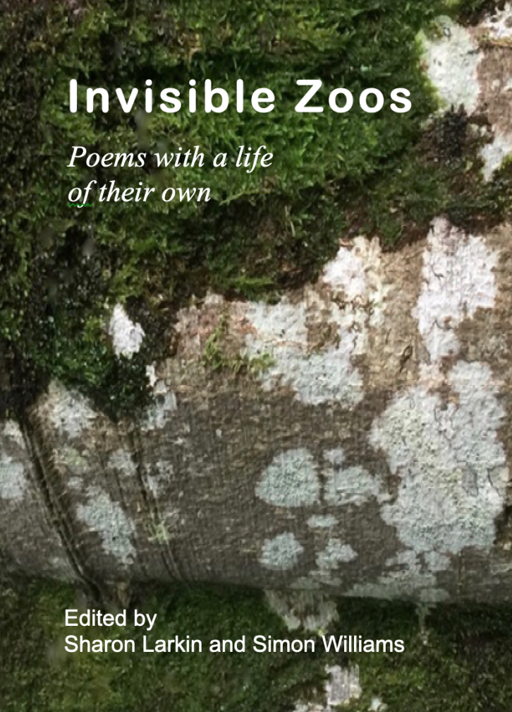 Screenshot 2019-10-25 at 19.17.20