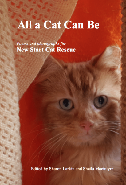 Screenshot 2019-10-25 at 22.40.43