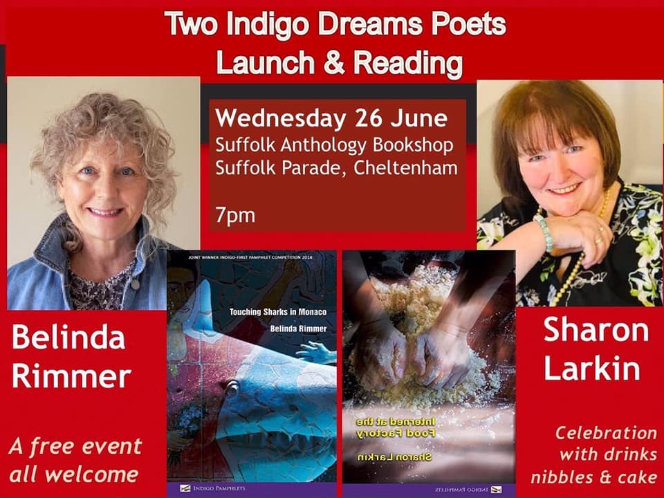 65118588_10157754257714363_211888333192691712_n