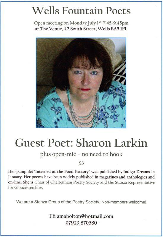 65544664_2640565139305888_6530619604610318336_n